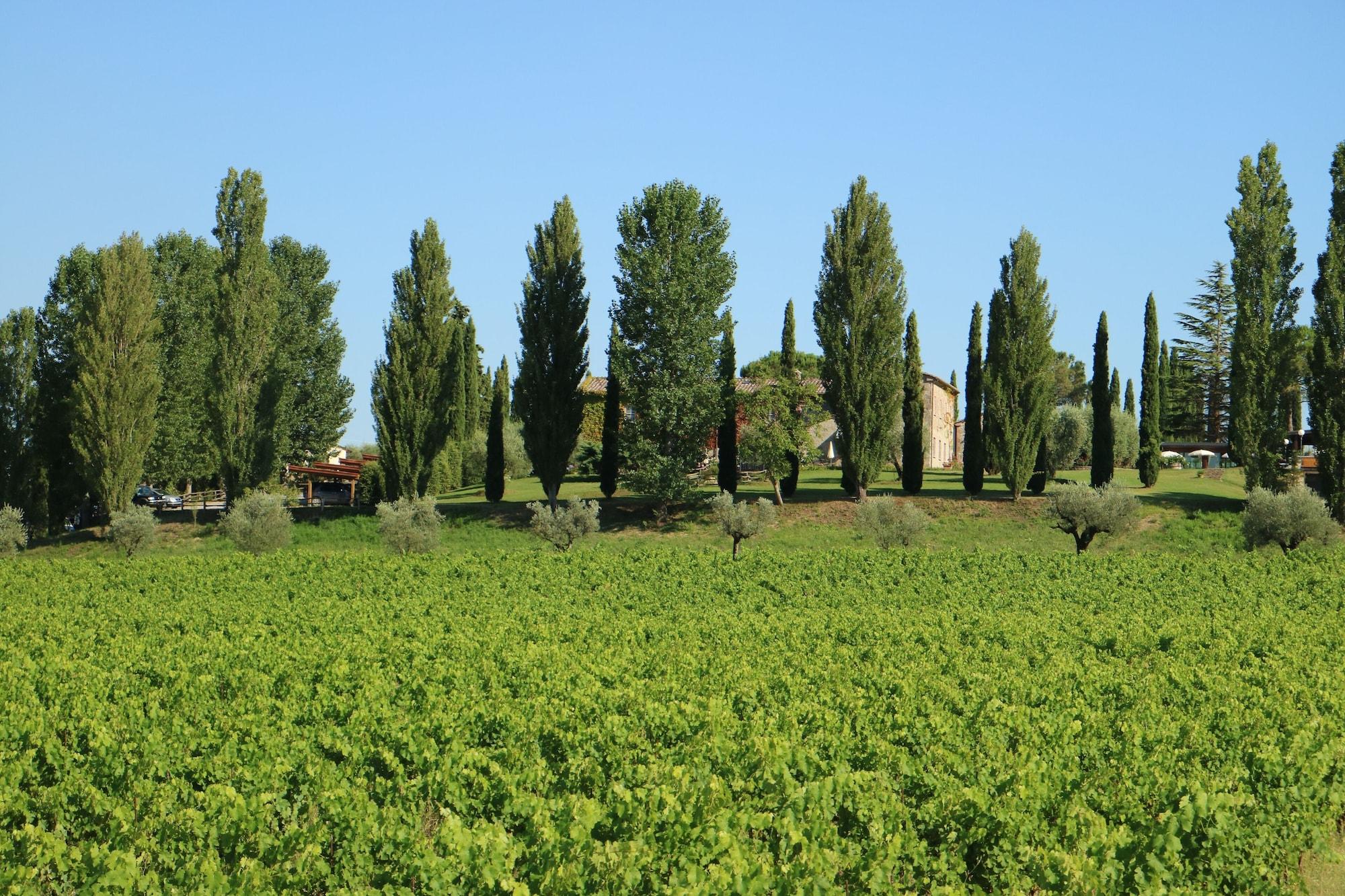 Agriturismo La Sovana Sarteano Εξωτερικό φωτογραφία