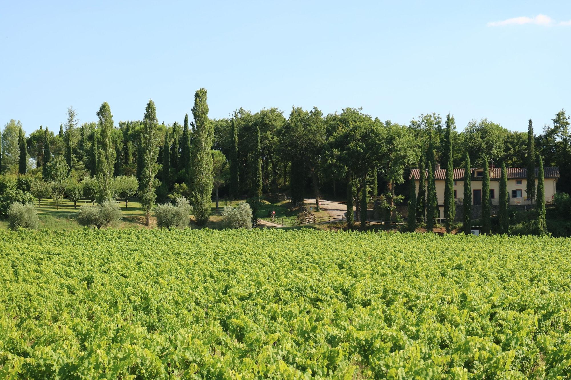 Agriturismo La Sovana Sarteano Εξωτερικό φωτογραφία